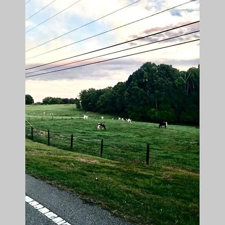 Clemson Farmhouse Villa Luaran gambar